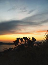 Silhouette trees on landscape against sky at sunset