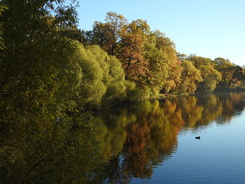Trees by lake against sky during autumn