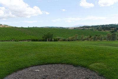 Scenic view of farm against sky