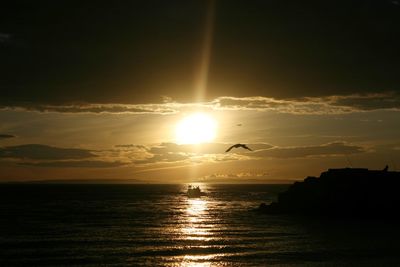 Silhouette birds flying over sea against sky during sunset