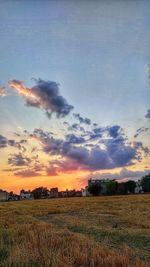 Scenic view of agricultural field against sky during sunset