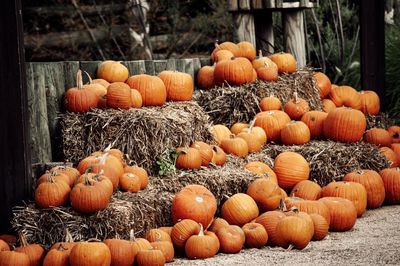 Pumpkins in market