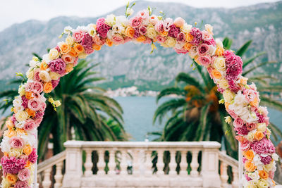 Close-up of multi colored flowers on railing