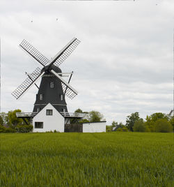 Rural landscape with trees in the background