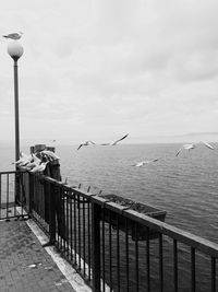 Seagull on railing by sea against sky