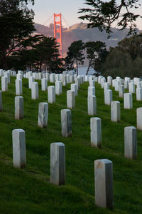 Tombstones in cemetery against golden gate bridge