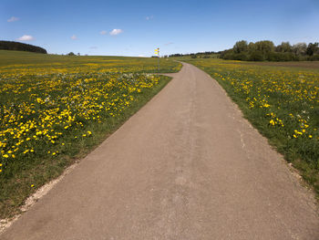 Scenic view of yellow flowering field by road against sky