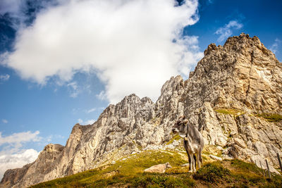 Low angle view of rock formations against sky