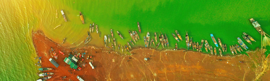 High angle view of plants in sea