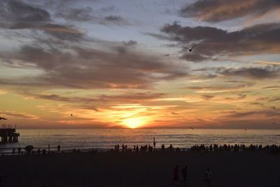 Silhouette of people on beach during sunset