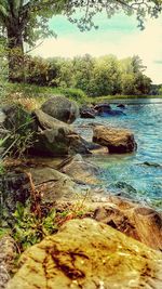 Rocks in river