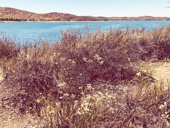 Scenic view of lake against sky