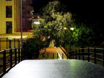 Walkway along trees in city