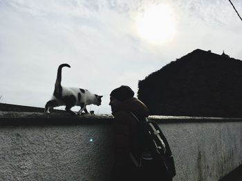 Man on wall against sky