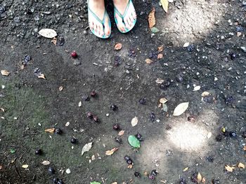 Low section of people standing on street