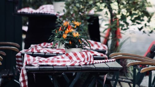 Potted plants and tablecloth at cafe