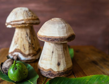 Close-up of mushroom growing on wood