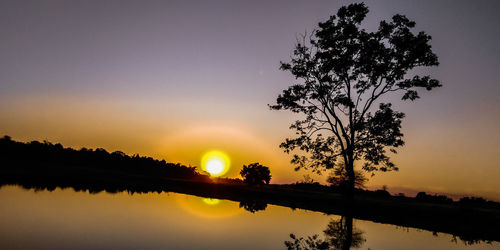 Silhouette tree by lake against sky during sunset