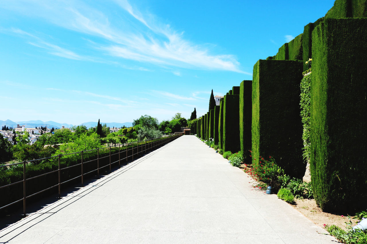 direction, the way forward, sky, architecture, built structure, plant, diminishing perspective, transportation, nature, day, no people, growth, tree, green color, vanishing point, outdoors, sunlight, footpath, cloud - sky, road, long