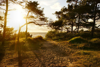 Empty road passing through field