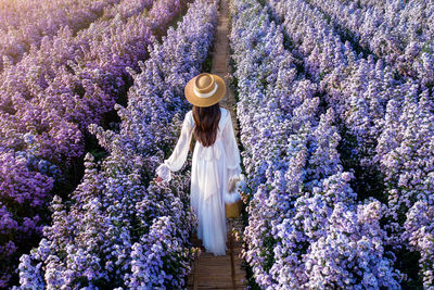 Full length of woman standing amidst purple flowers