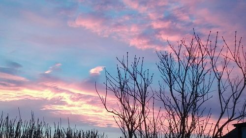 Silhouette tree against sky during sunset