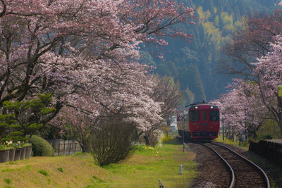 High angle view of train on field