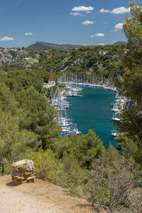 Scenic view of sea and trees against sky