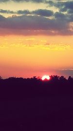 Silhouette of trees at sunset