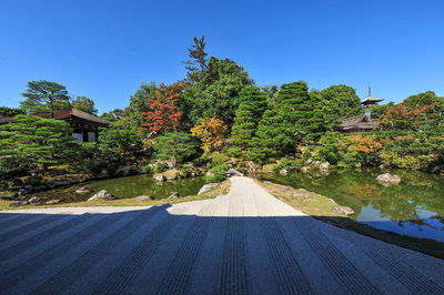 Road by trees and building against clear blue sky