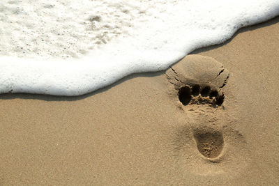 High angle view of crab on sand