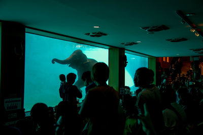Silhouette people at aquarium