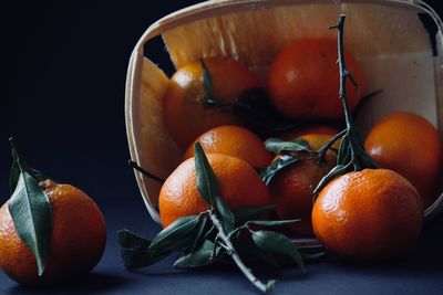 Close-up of orange fruit against black background