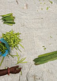 High angle view of hand holding leaf on table