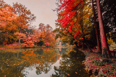 Reflection of trees in lake during autumn