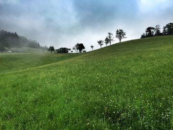 Scenic view of grassy field against cloudy sky