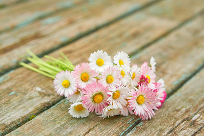 Close-up of pink daisy flowers on table