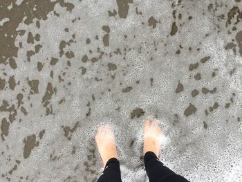 Low section of woman standing at beach