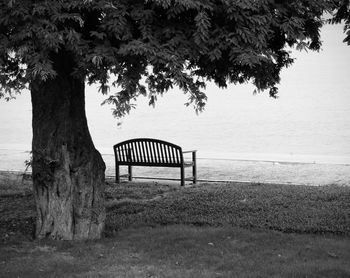 Bench on field by trees