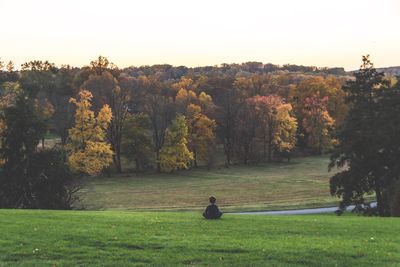 Scenic view of trees on landscape against clear sky