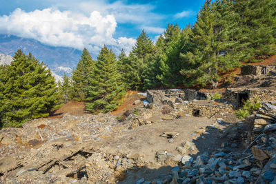 Scenic view of trees and mountains against sky