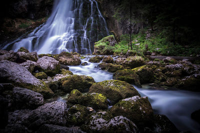 Scenic view of waterfall in forest