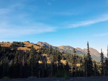 Scenic view of landscape and mountains against sky