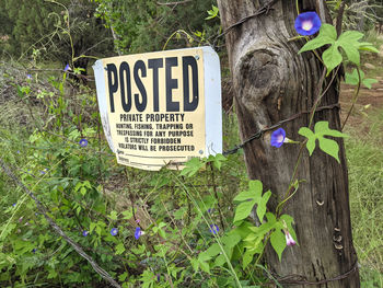 Information sign by plants