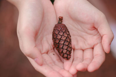 Close-up of person holding hands