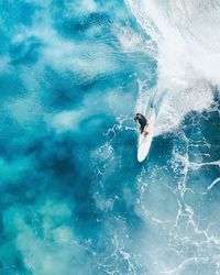 High angle view of man swimming in sea