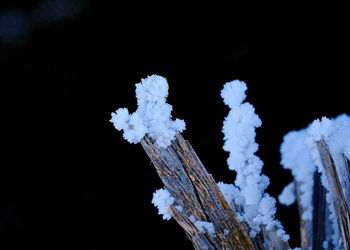 Close-up of snow against sky at night