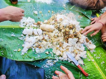 High angle view of hands holding leaves