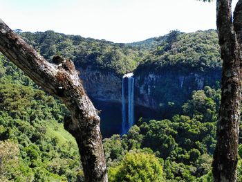 Scenic view of waterfall in forest