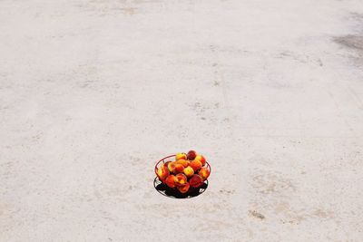 High angle view of a basket filled with peaches